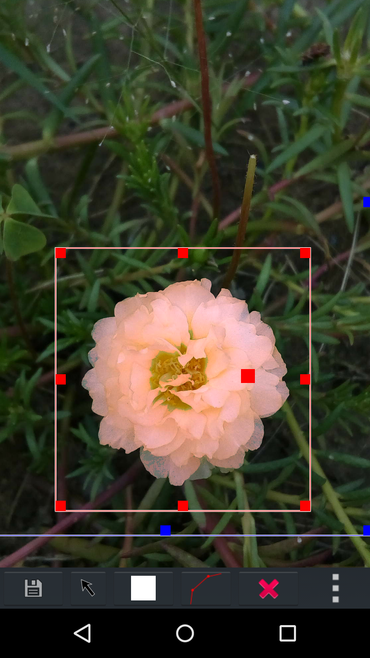 AndCamera adjust the color of a object, use polygon selection to limit AndCamera adjust the color of a object, use polygon selection to limit