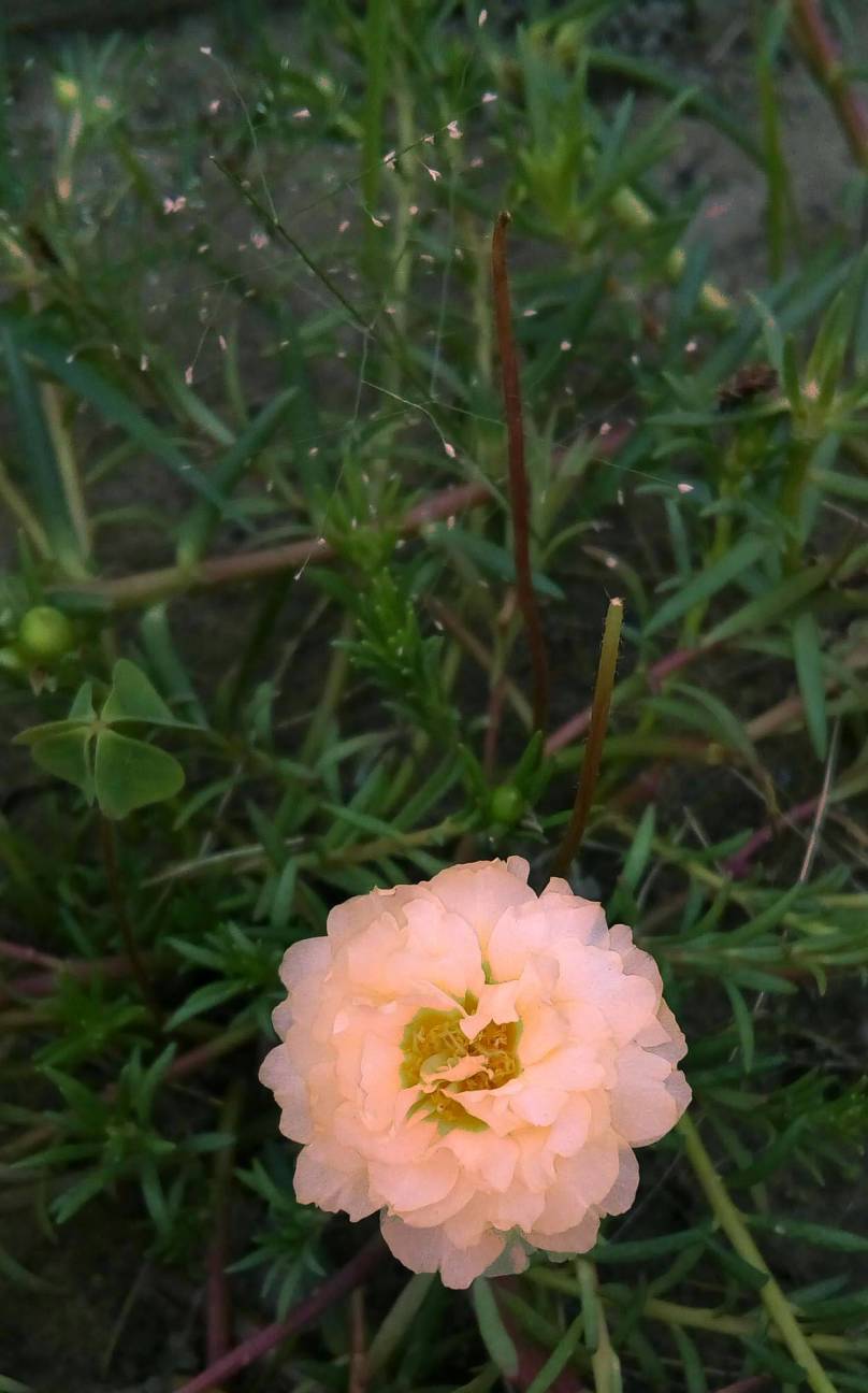 AndCamera adjust the color of a object, unlimited region AndCamera adjust the color of a object, unlimited region