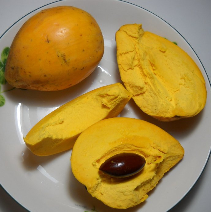 蛋黃果(仙桃)￼的果實與種子 ￼Pouteria campechiana