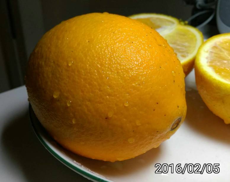 不知名的臍橙