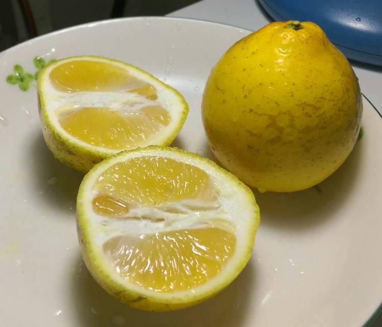 三寶柑、檸檬柑 (Citrus sulcata Hort. ex Takahashi)