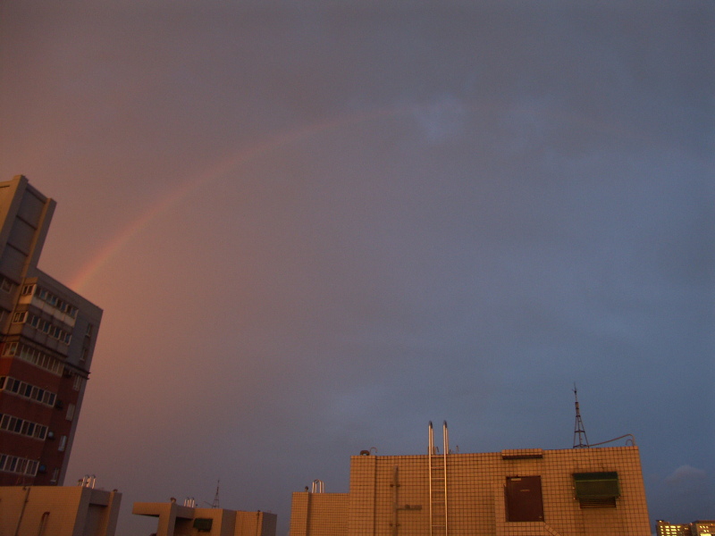 颱風天的彩虹