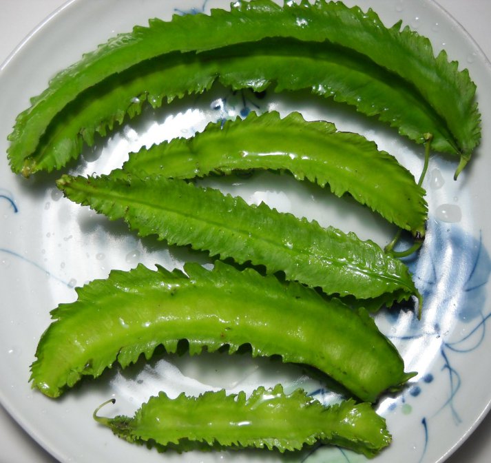 翼豆、楊桃豆 Winged bean Psophocarpus tetragonolobus