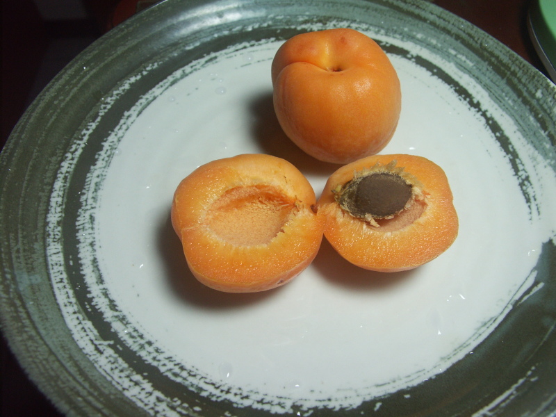 Sweet Apriums (I.S. Apricots) 杏桃